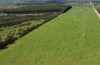 Fazenda para venda em Bonfinópolis